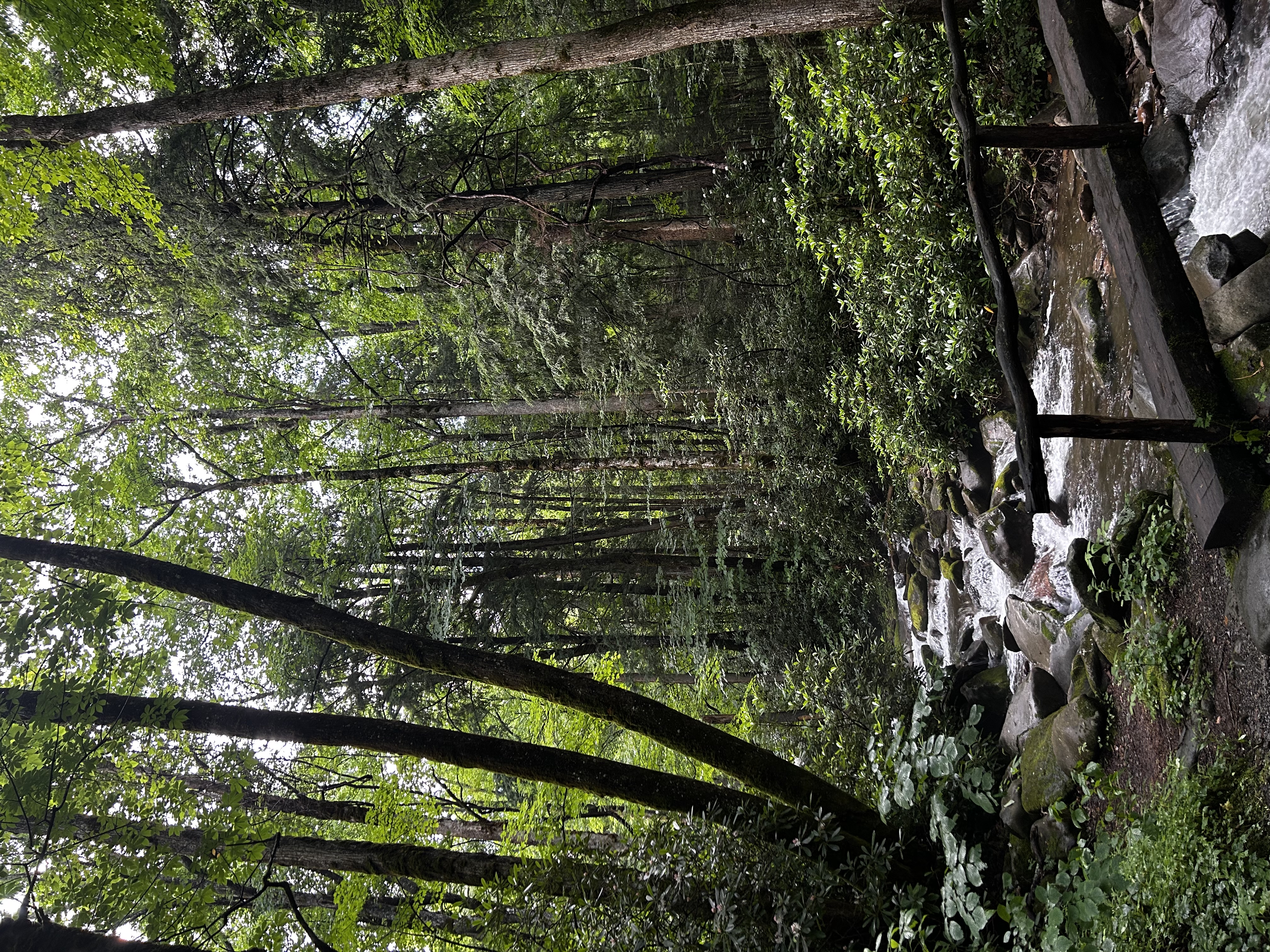Creek and footbridge among trees in the Great Smoky Mountains; illustrative Appalachian scenery, not a photograph of the sanctuary property.