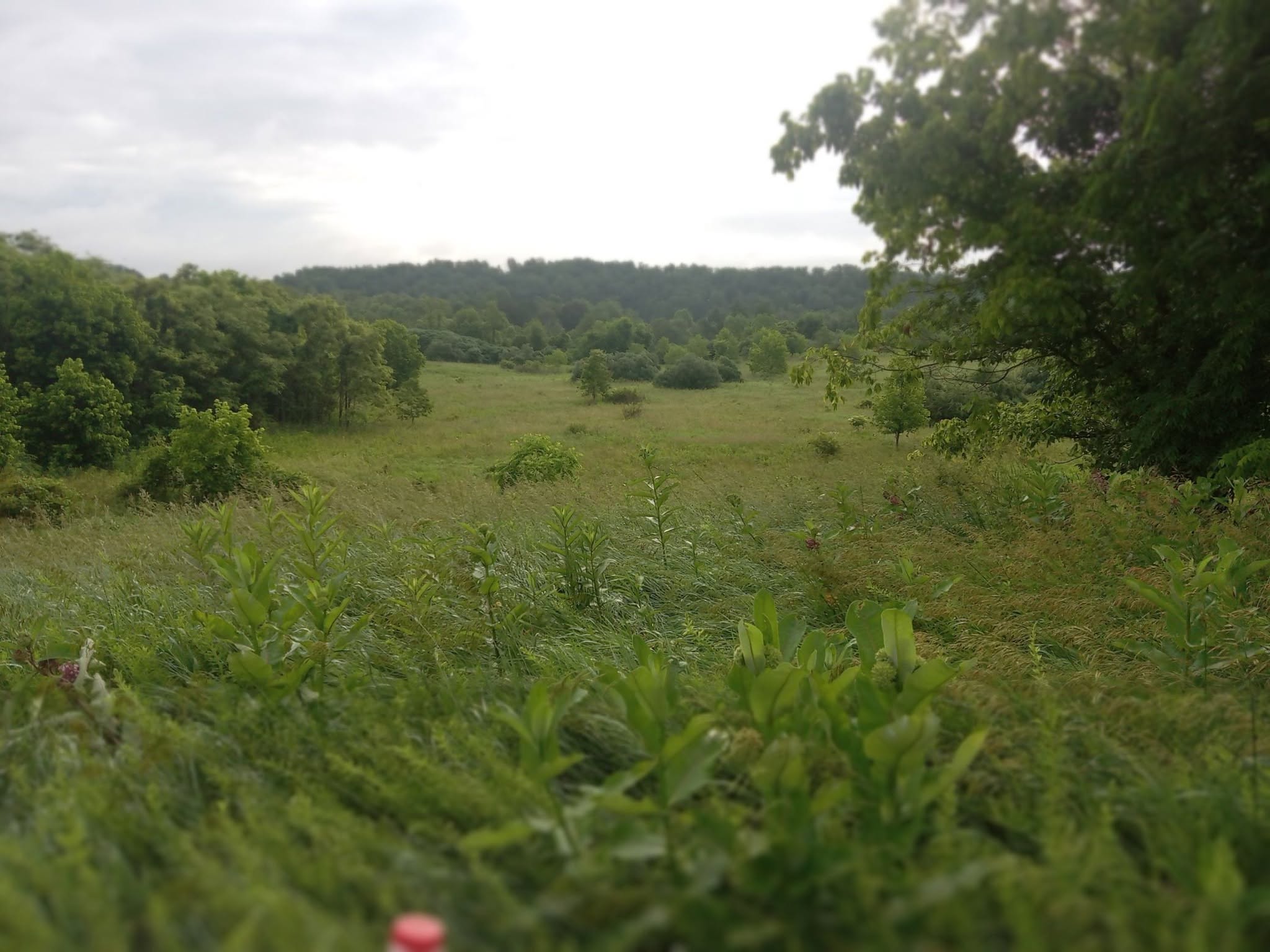 Open field surrounded by wooded hills from the supplied camping photo collection.
