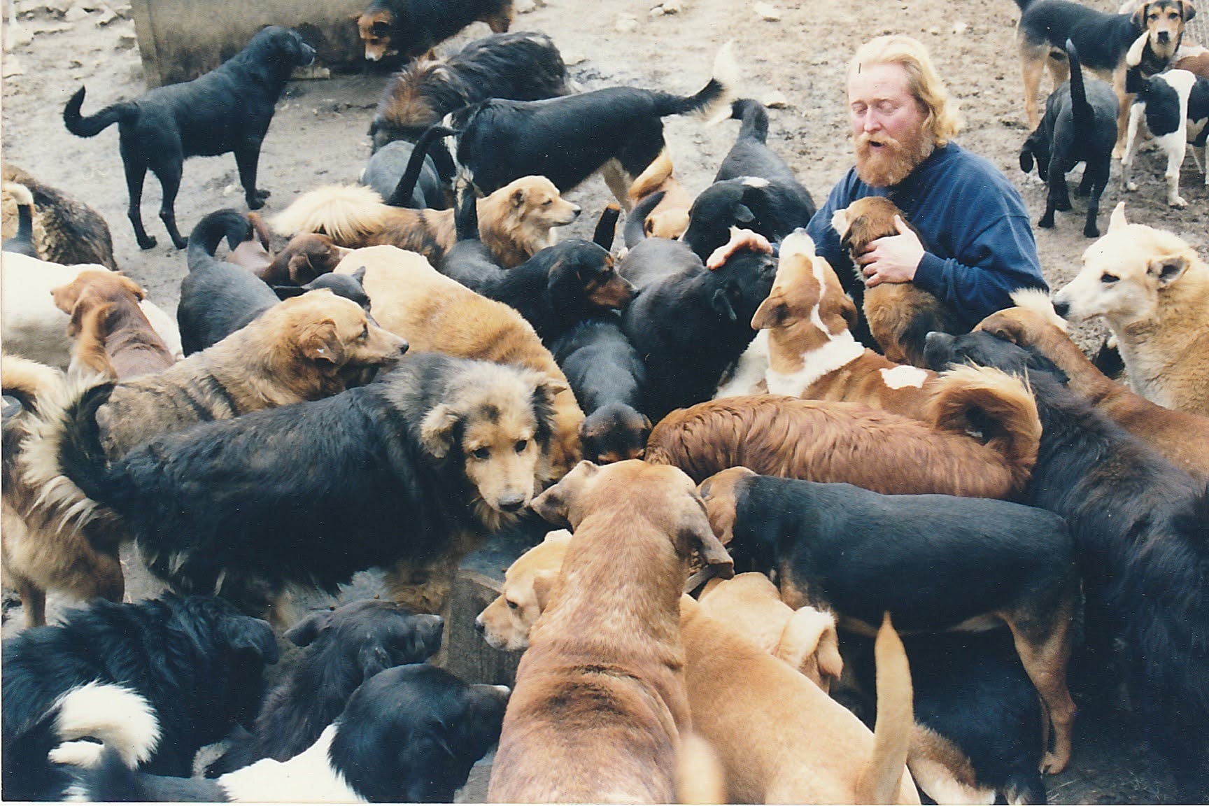 Randy Skaggs surrounded by sanctuary dogs