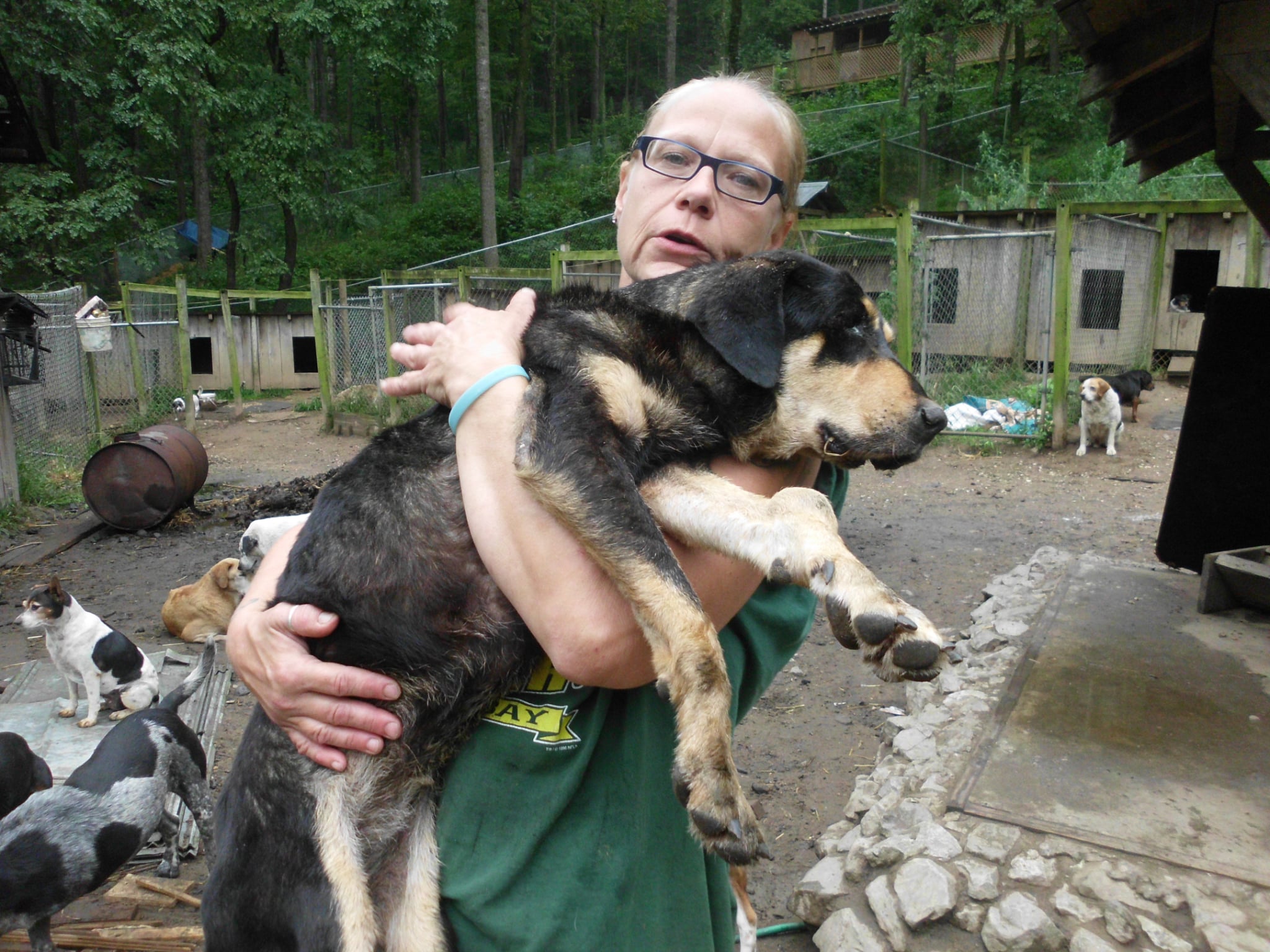 A person holding a black and tan dog in the sanctuary yard
