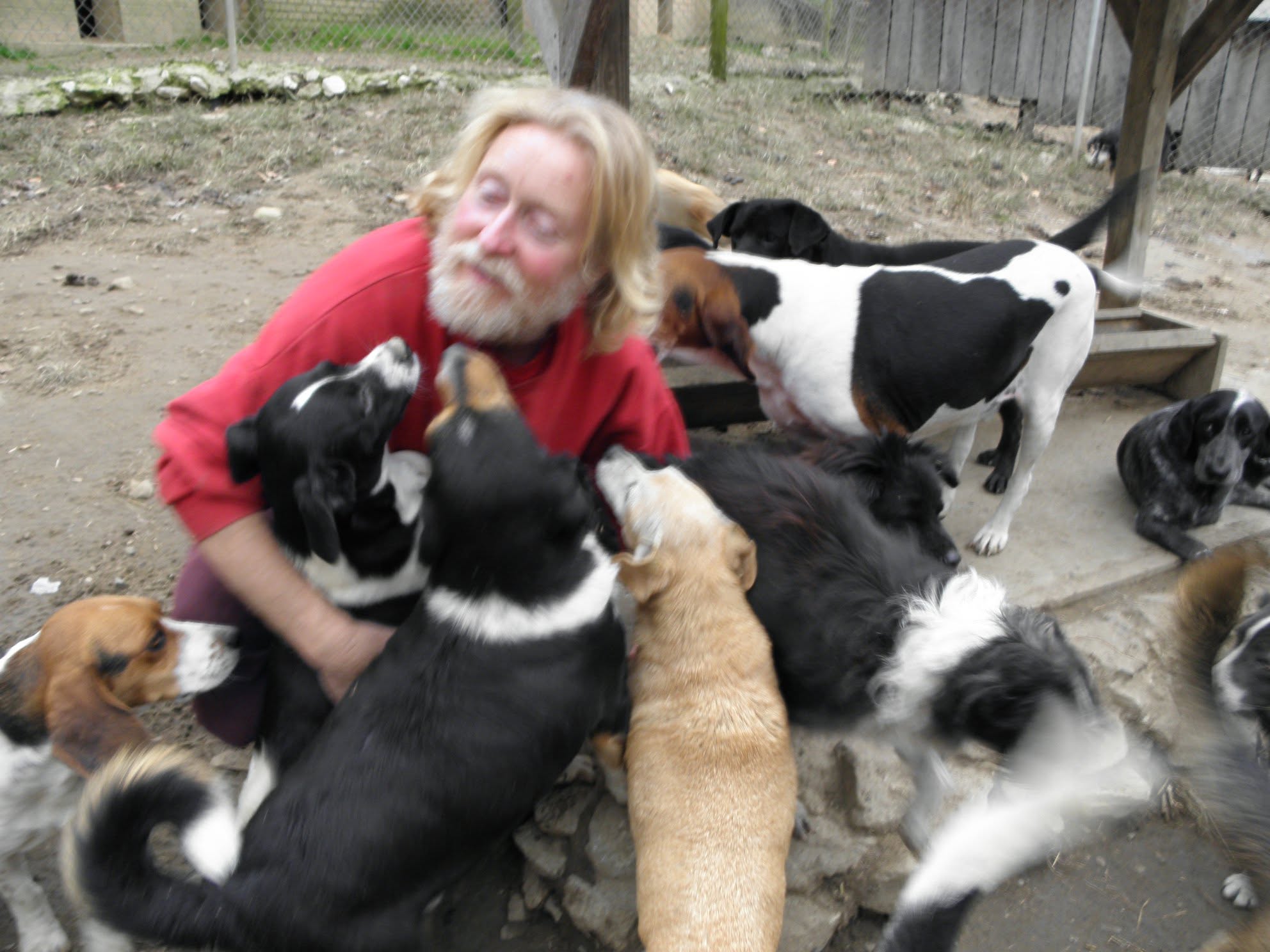 Randy Skaggs surrounded by sanctuary dogs