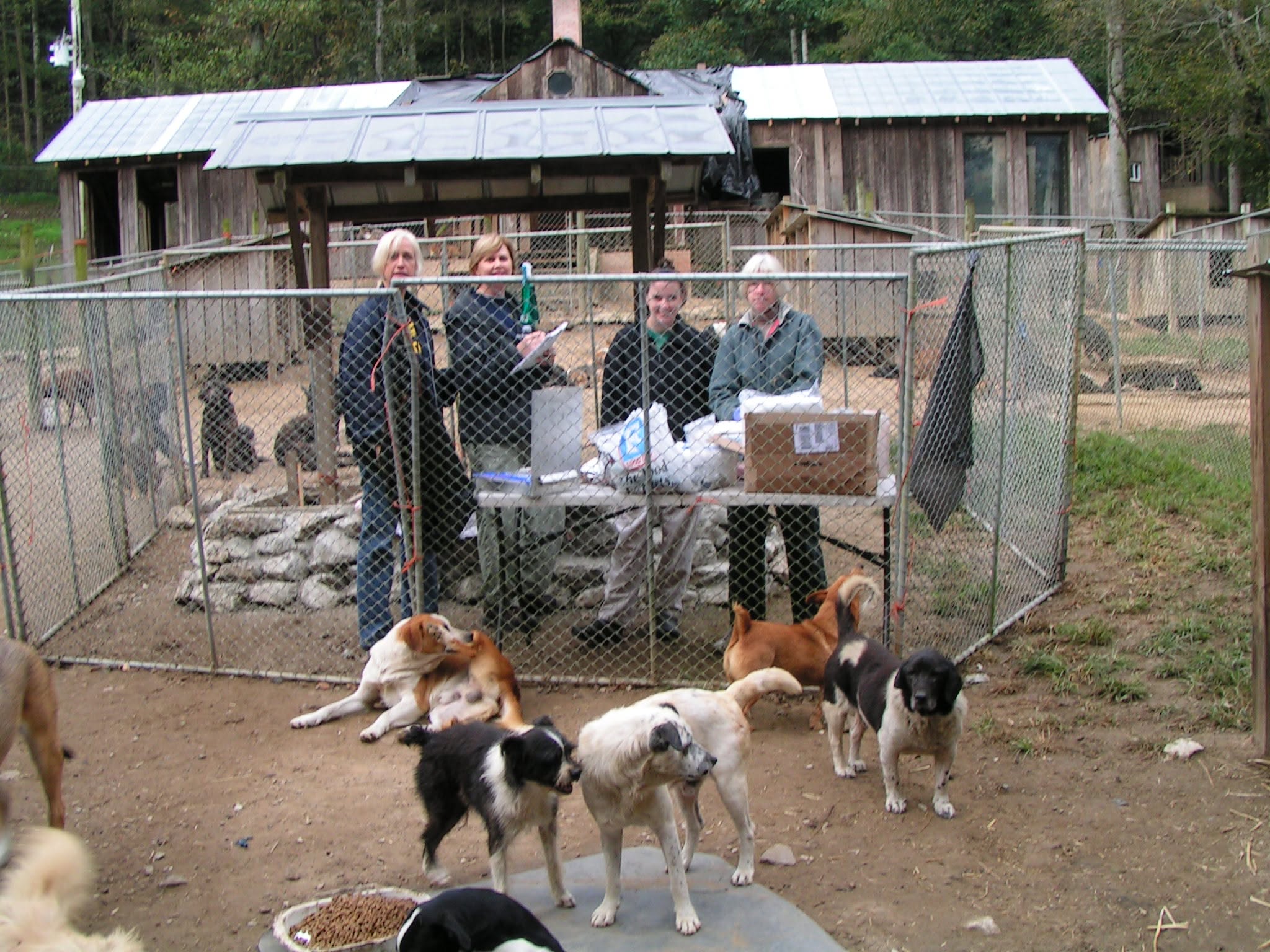 People beside a sanctuary building with dogs gathered around.
