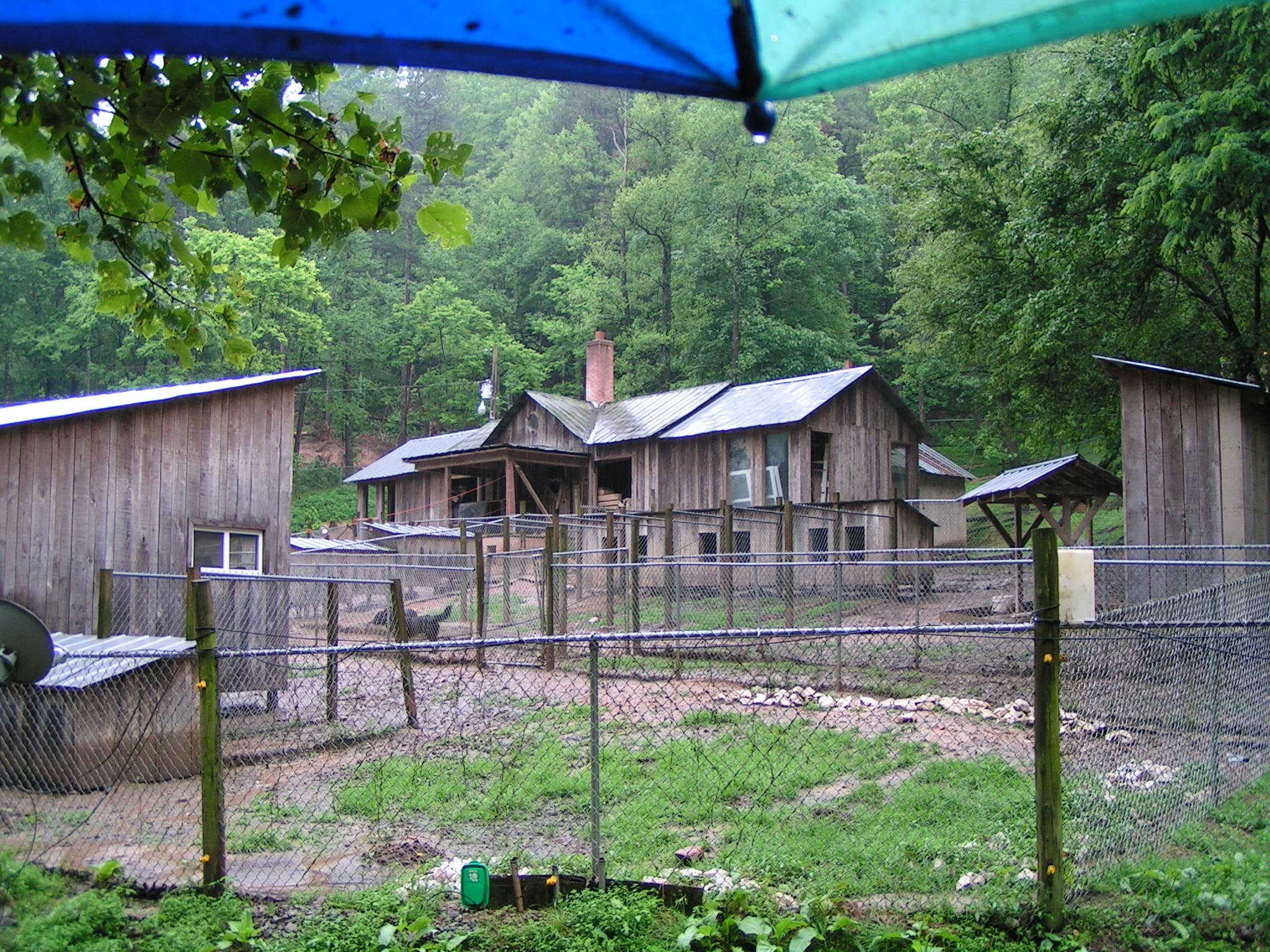 Sanctuary buildings and fencing beneath leafy trees.