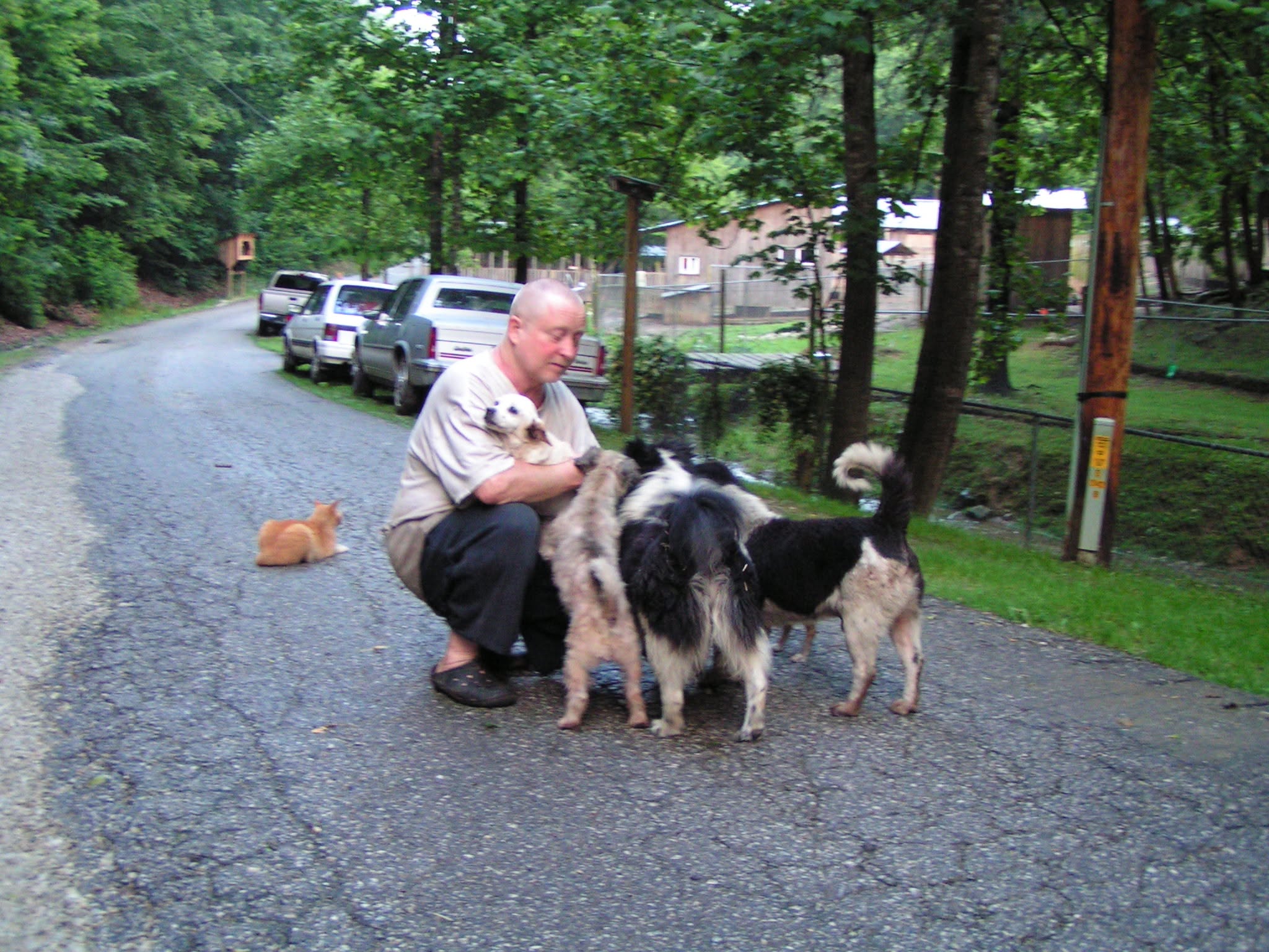 A man kneeling with dogs along a driveway